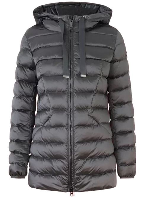  COLMAR | 2226 2YO/506